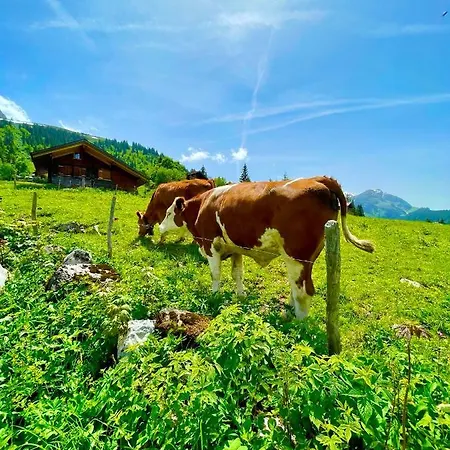 Mit Und Bergsicht Apartment Hofstetten bei Brienz