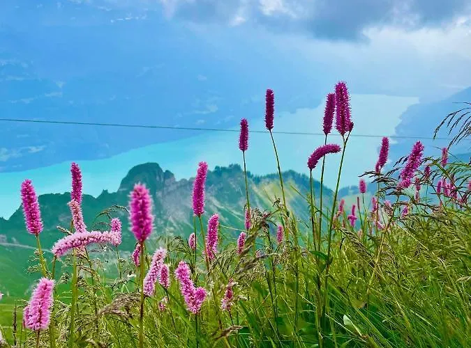 Lejlighed Mit Und Bergsicht