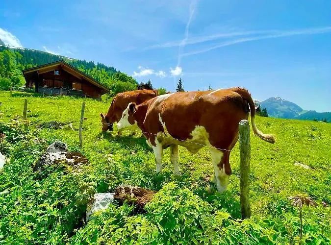 Mit Und Bergsicht דירה Hofstetten bei Brienz