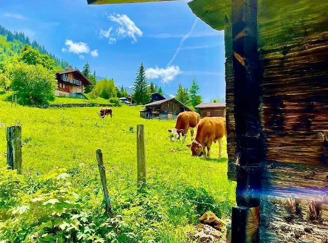 Mit Und Bergsicht Hofstetten bei Brienz