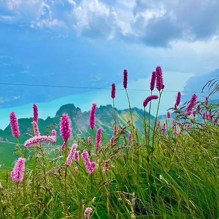 Lejlighed Mit Und Bergsicht